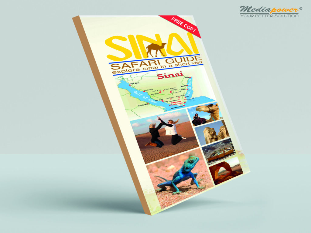 Pharaohs_Marketing_Consultancies-Content_books_02_new