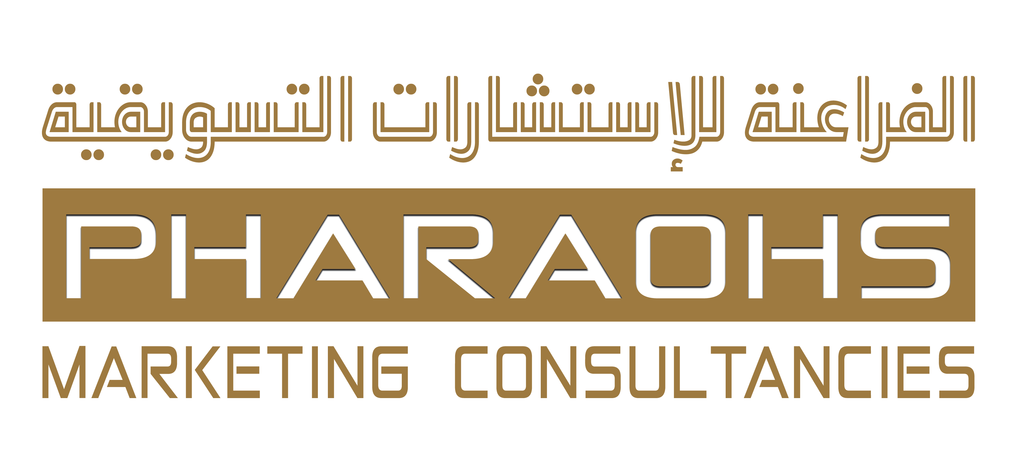 PMC - Logo 2025 - 01